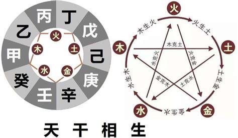 辛乙相克|八字乙辛冲详解(乙辛相冲对命运的影响)